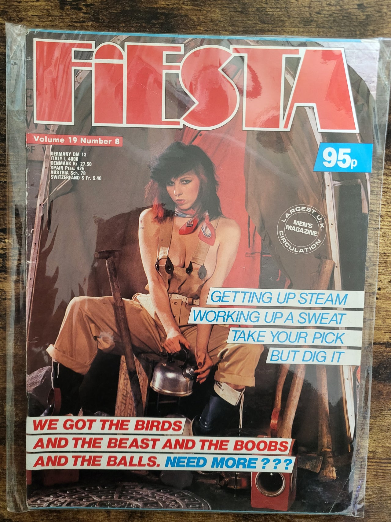 Fiesta Magazine Vol 19 No 8