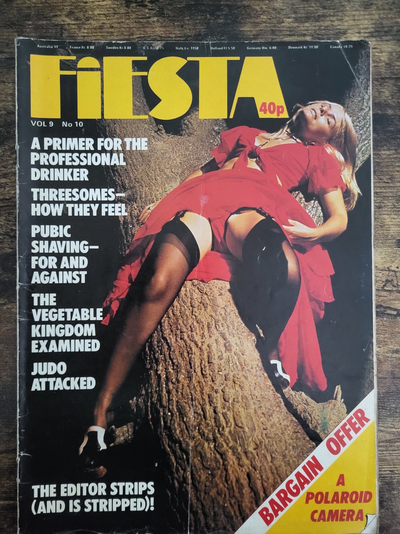 Fiesta Magazine Vol 9 No 10