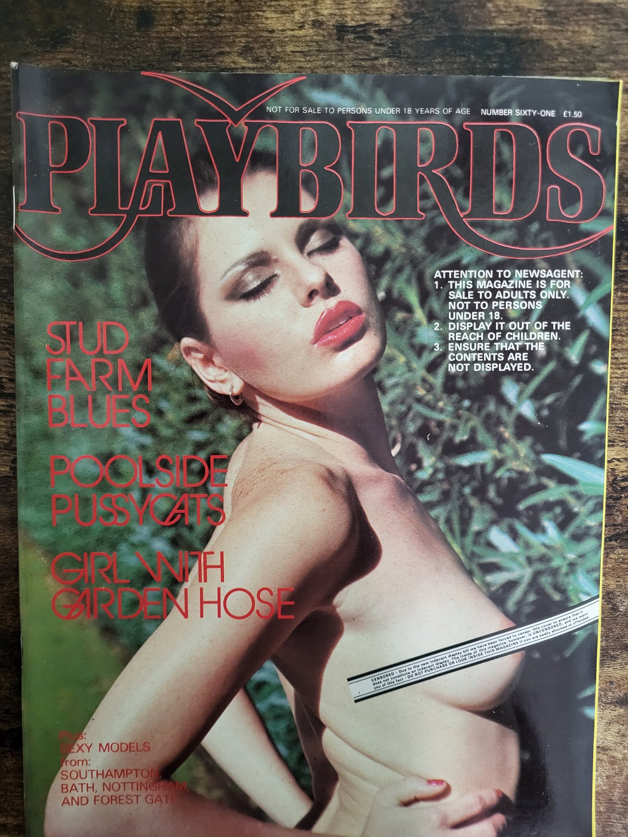 Playbirds Magazine No 61