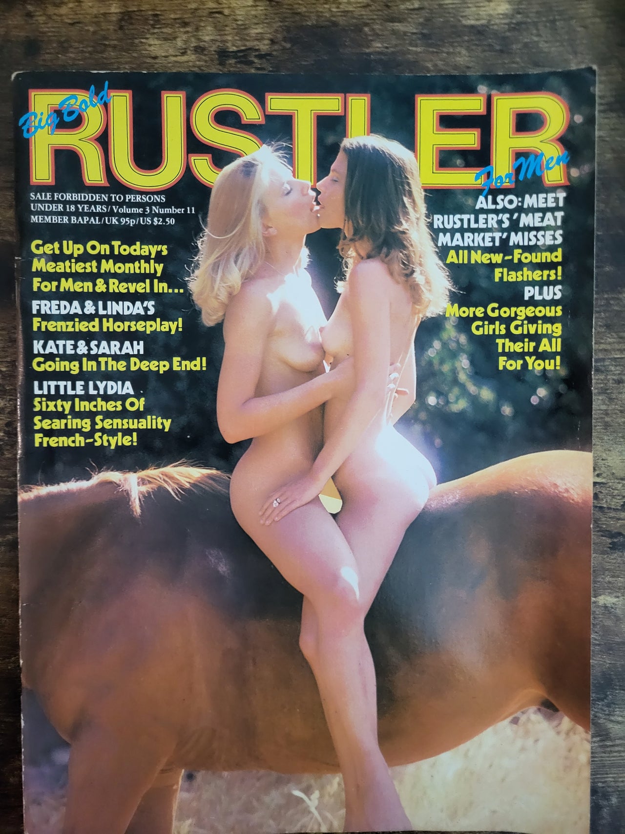 Rustler Magazine Vol 3 No 11