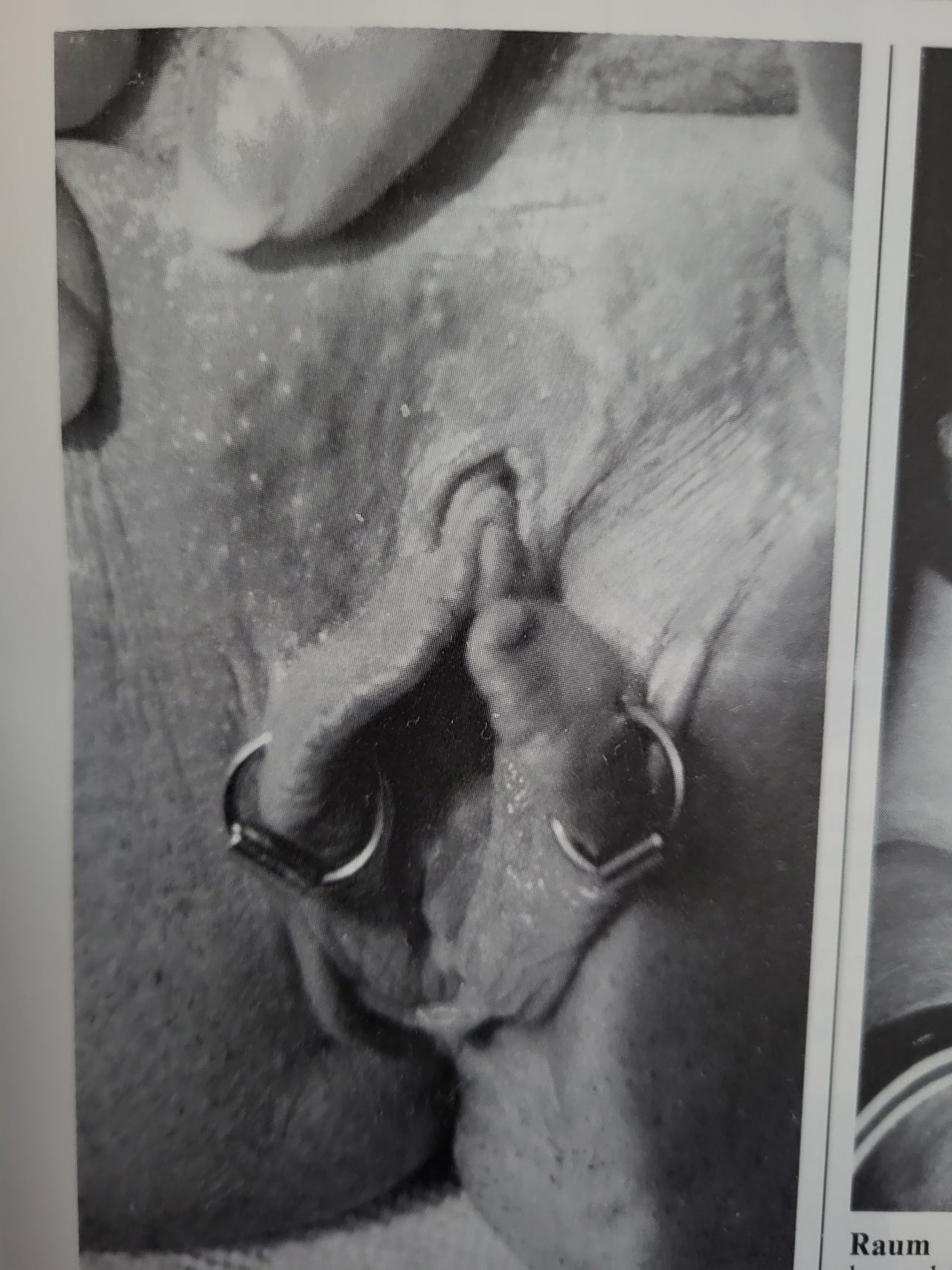 Party 69 Magazine No 179 Small Format.. German Hardcore Contact Magazine