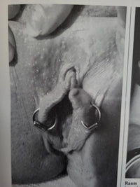 Party 69 Magazine No 179 Small Format.. German Hardcore Contact Magazine