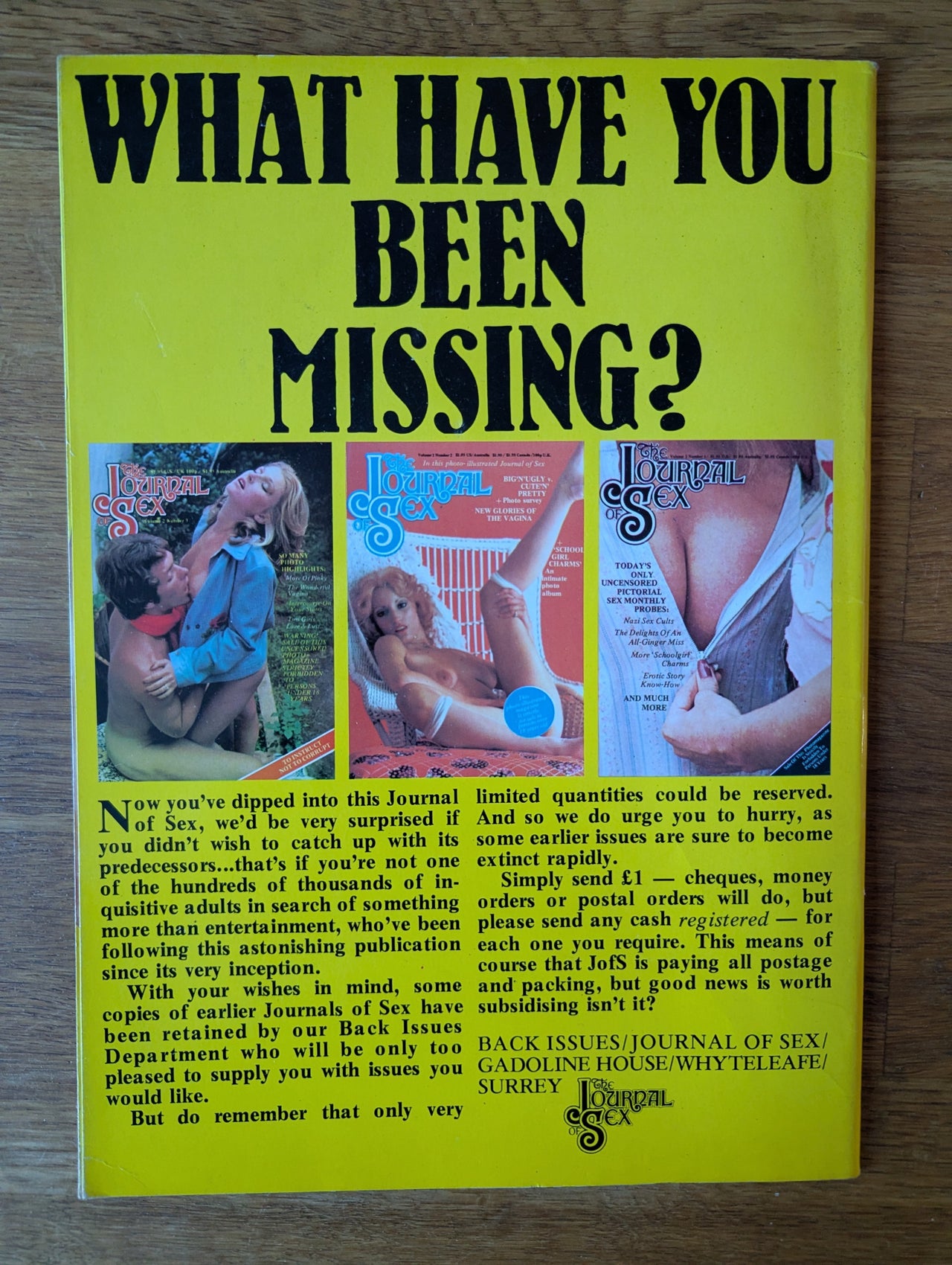 The Journal of Sex Magazine Vol 2 No 6