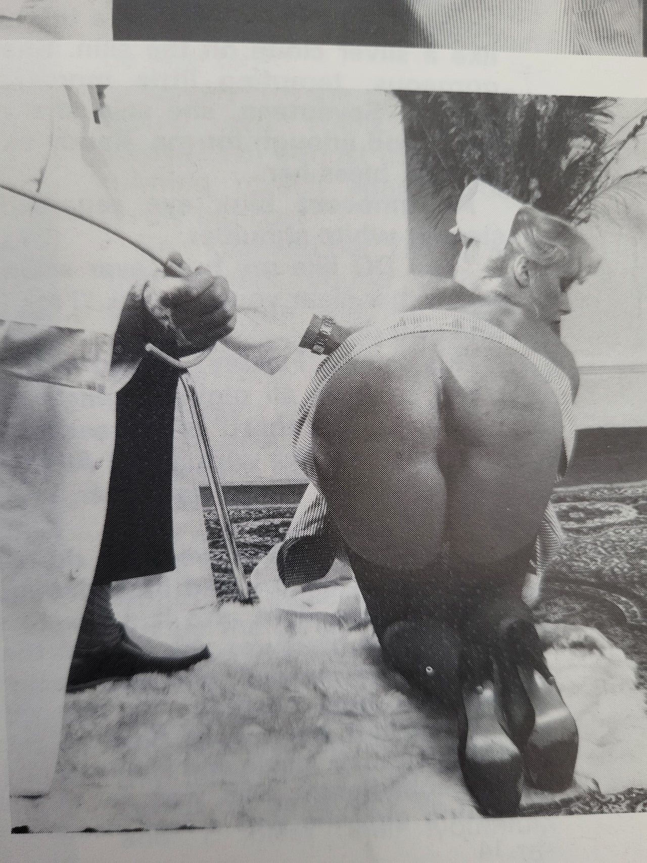 Phoenix Magazine No 17.. 1984 UK Spanking And CP Magazine