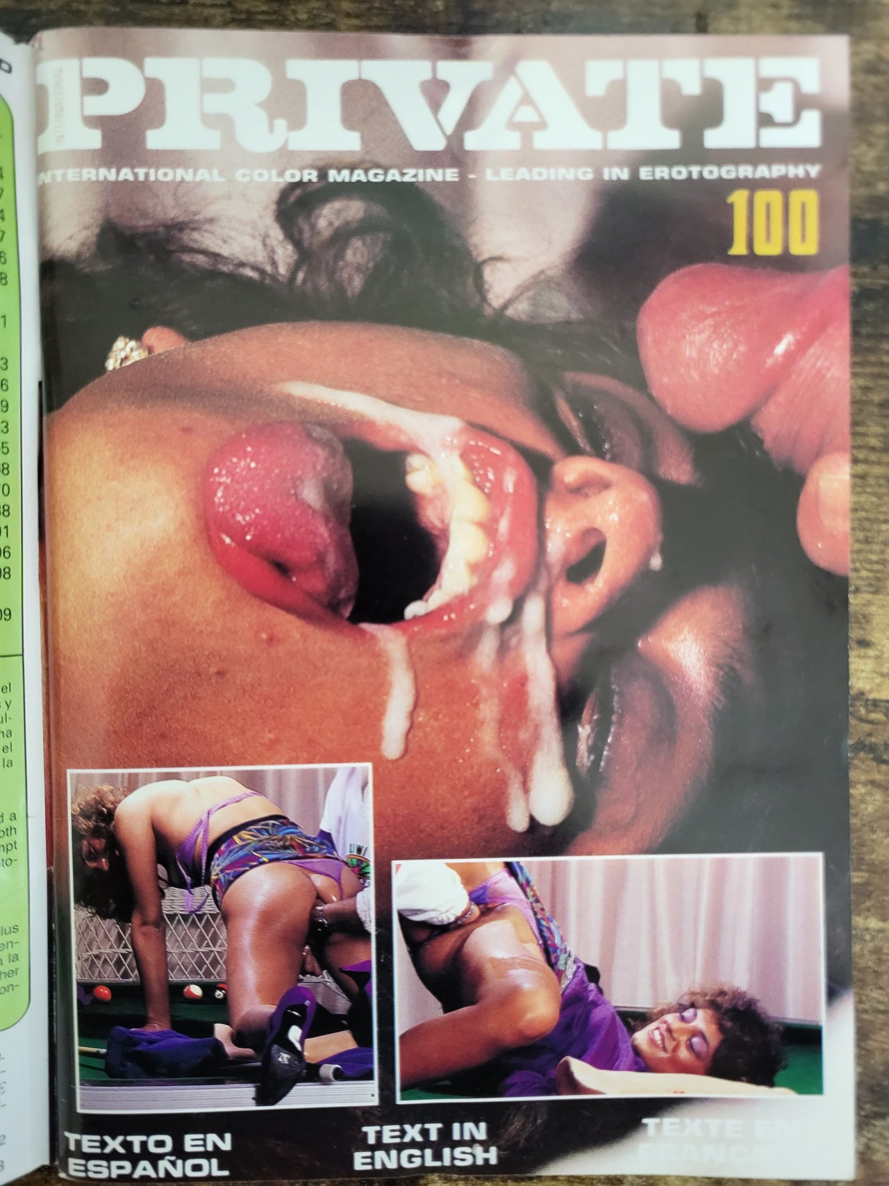 Private Magazine No 100 Small Format.. European Hardcore Magazine