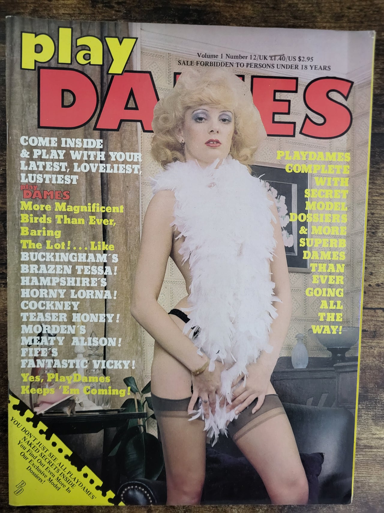Play Dames Magazine Vol 1 No 12