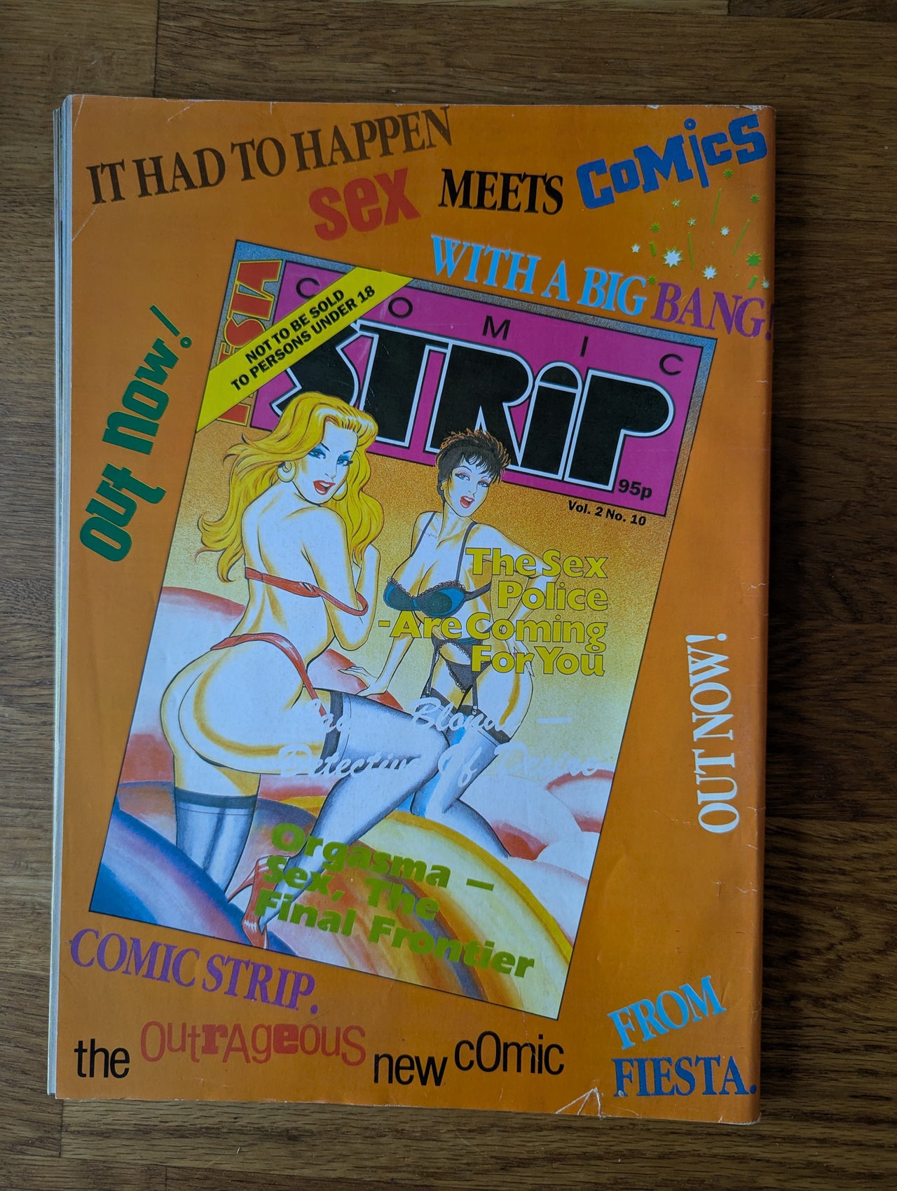 Fiesta Readers Wives Special 1990