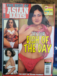 Asian Babes Magazine Best Of Vol 3 No 7