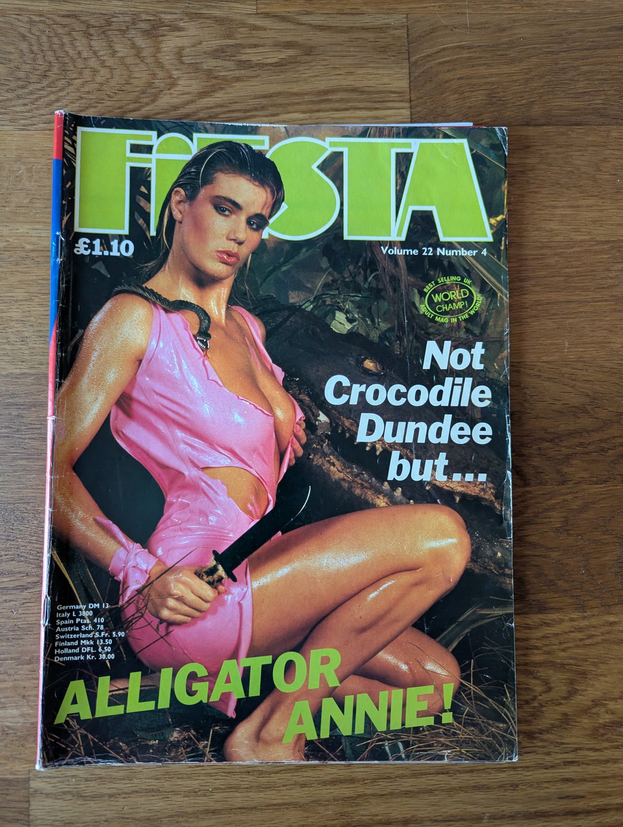 Fiesta Magazine Vol 22 No 4