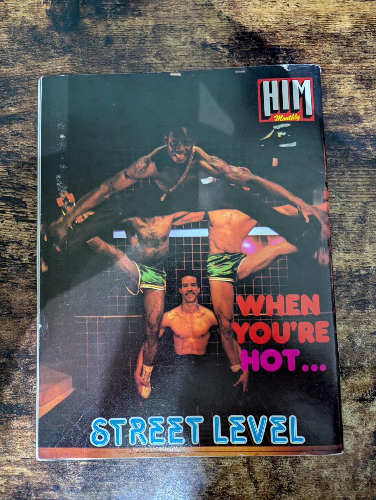 Him monthly UK Gay Magazine No 21 - 1979
