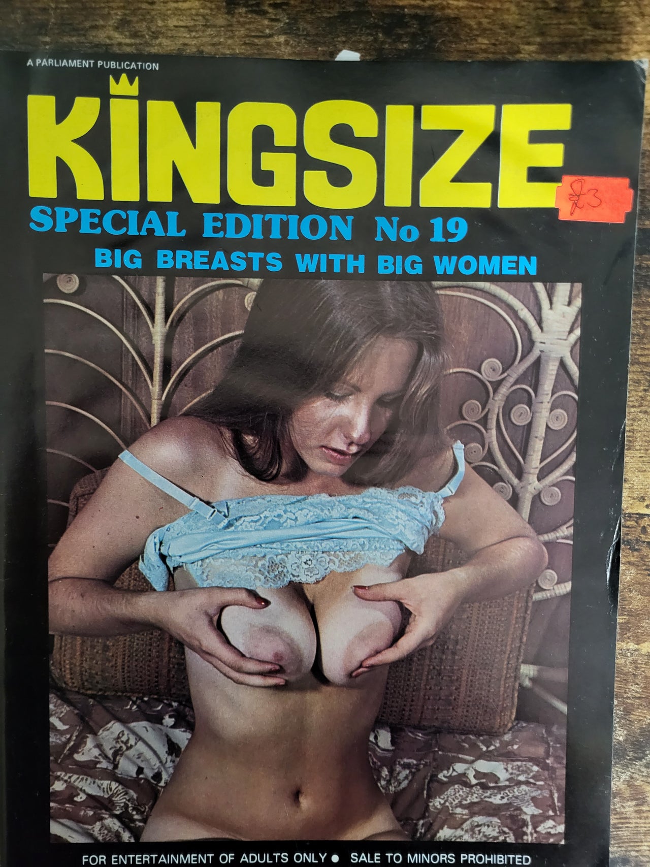Kingsize Magazine Special Edition No 19
