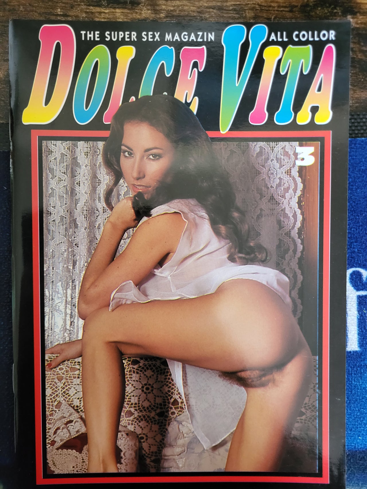 Dolce Vita Magazine No 3 Small Format.. 1980's German Hardcore Magazine