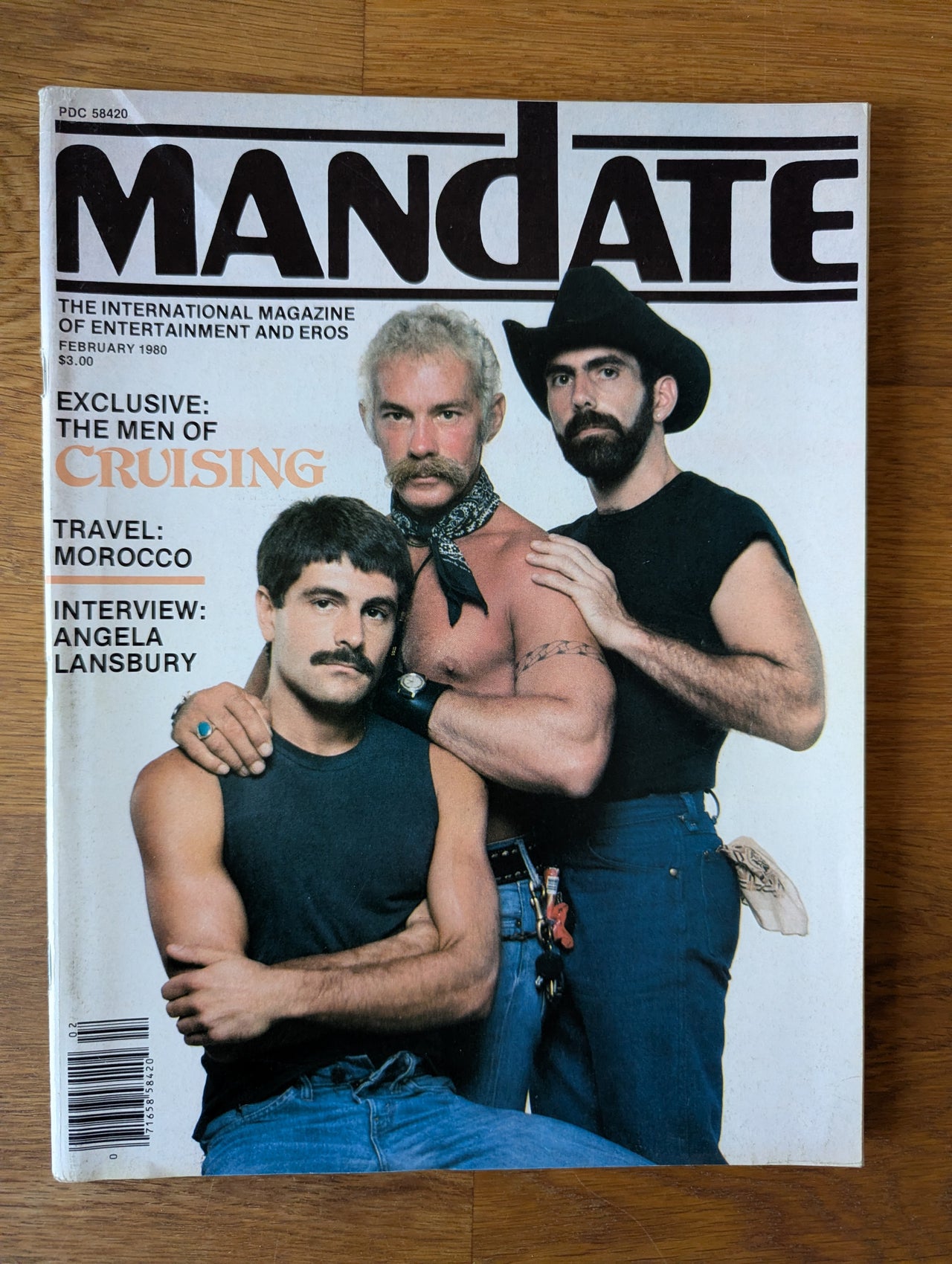 Mandate Magazine February 1980 ... US Vintage Gay Magazine