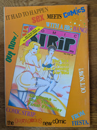 Fiesta Magazine Vol 24 No 11