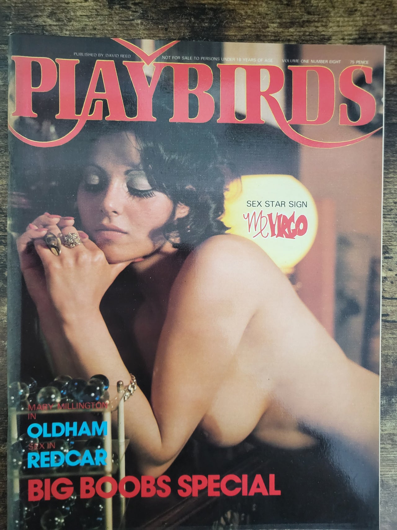 Playbirds Magazine Vol 1 No 8