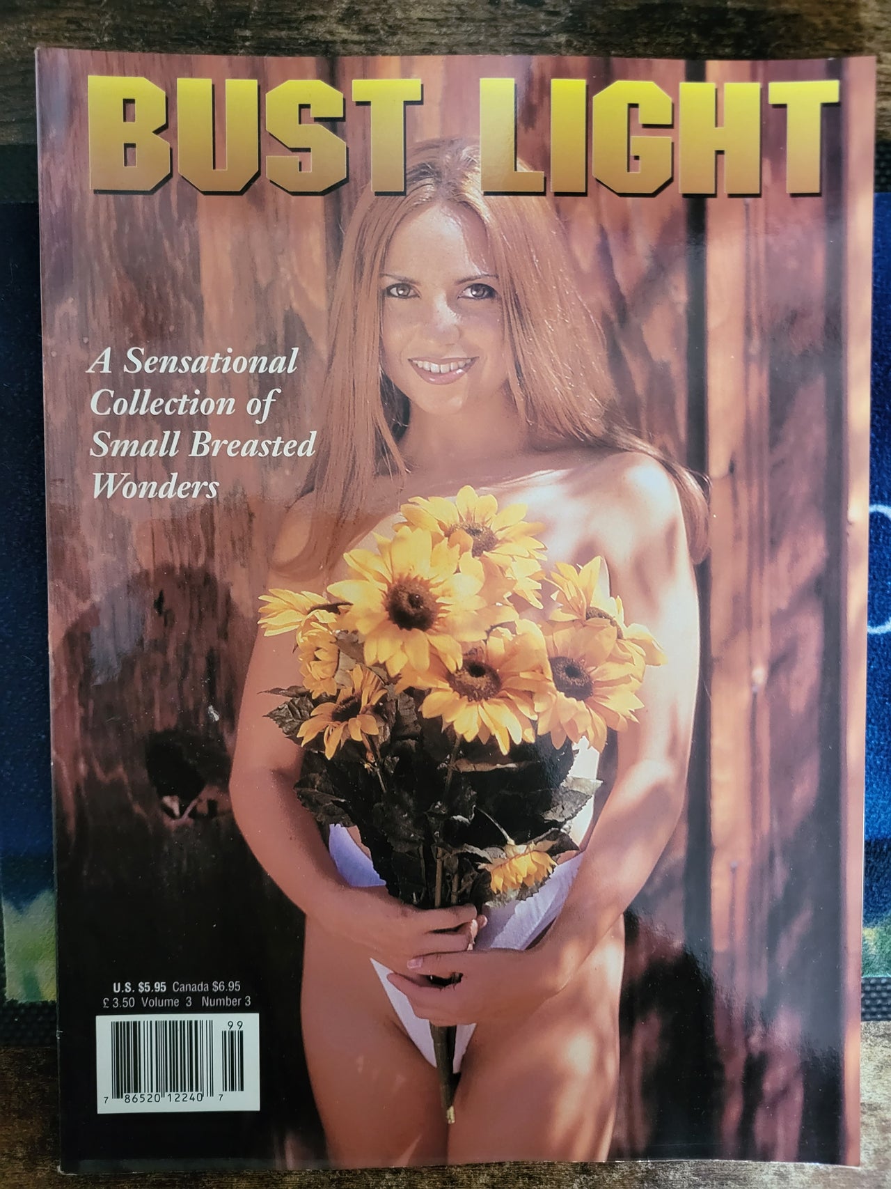 Bust Light Magazine Vol 3 No 3.. 1997 US Small Tits Magazine