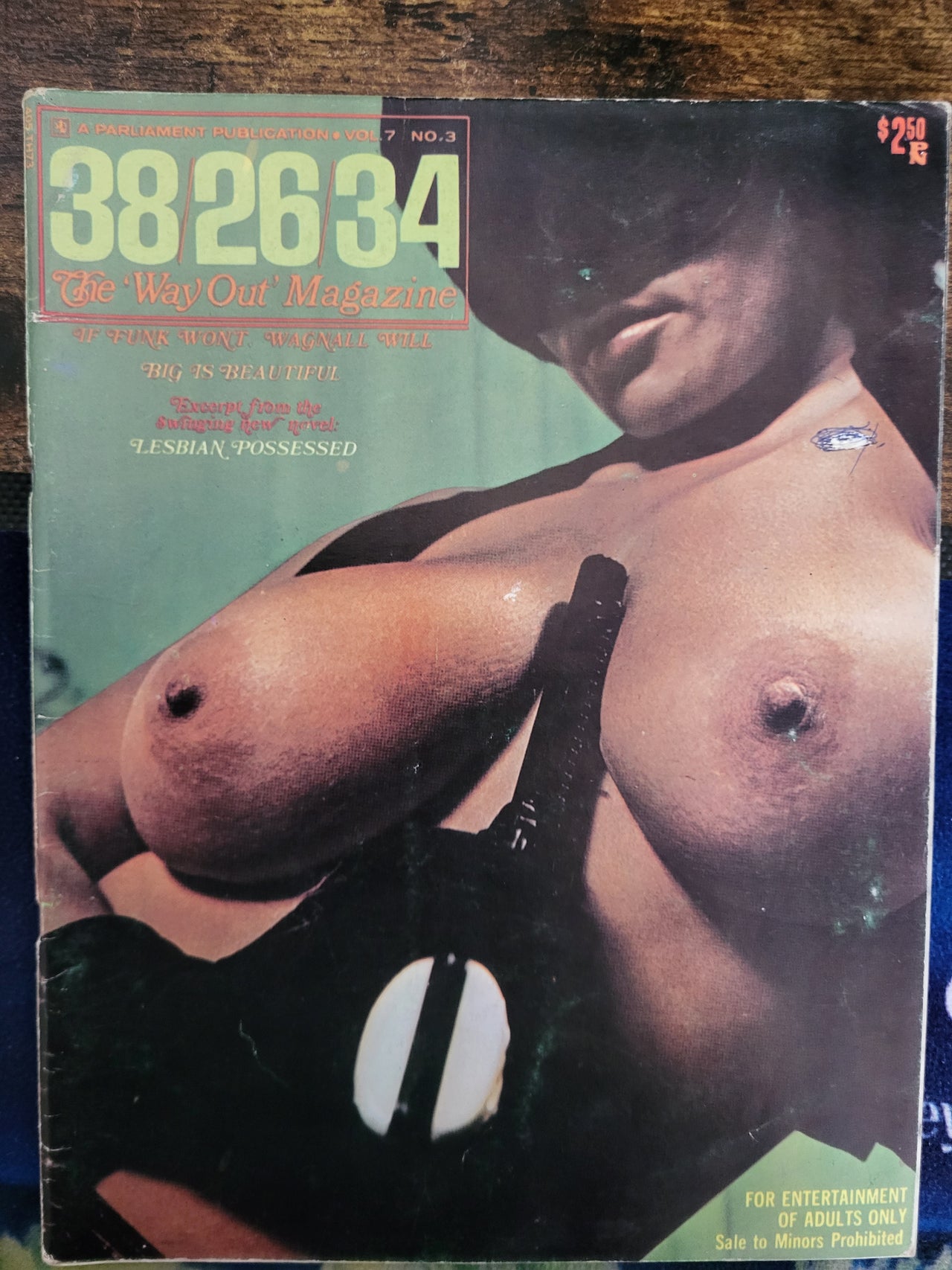 38/26/34 Magazine Vol 7 No 3 1970 US Big Tits Magazine