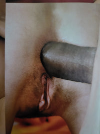 Swank Magazine No 249.. US Hardcore Magazine