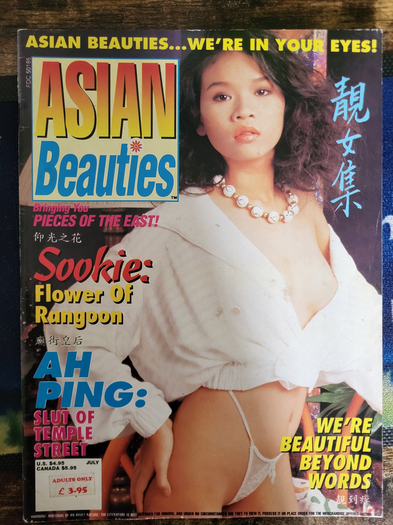 Asian Beauties Magazine Vol 2 No 4