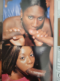 Players Nasty Magazine Vol 4 No 5.. US Hardcore Black Women Magazine