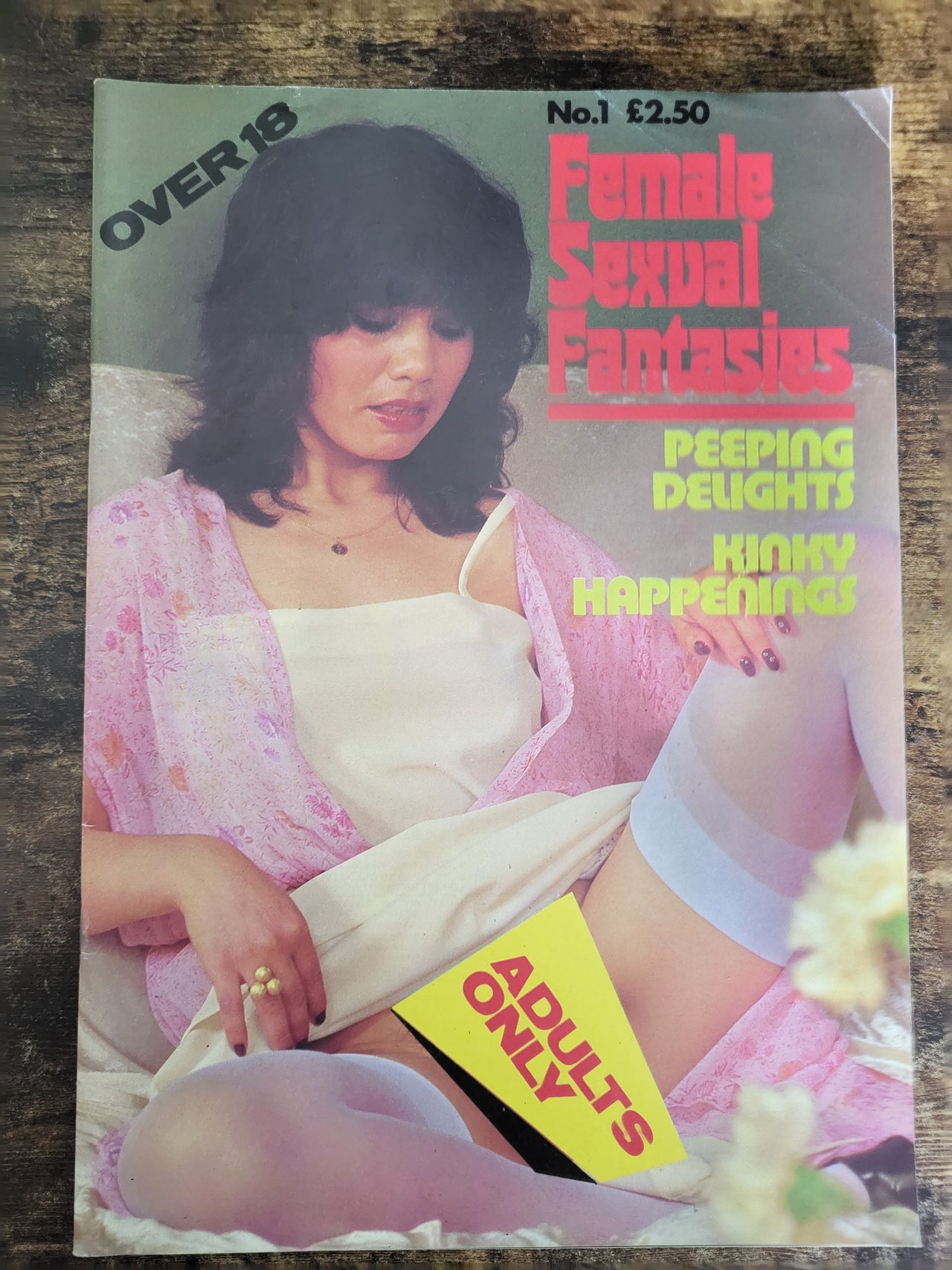 Female Sexual Fantasies Magazine No 1