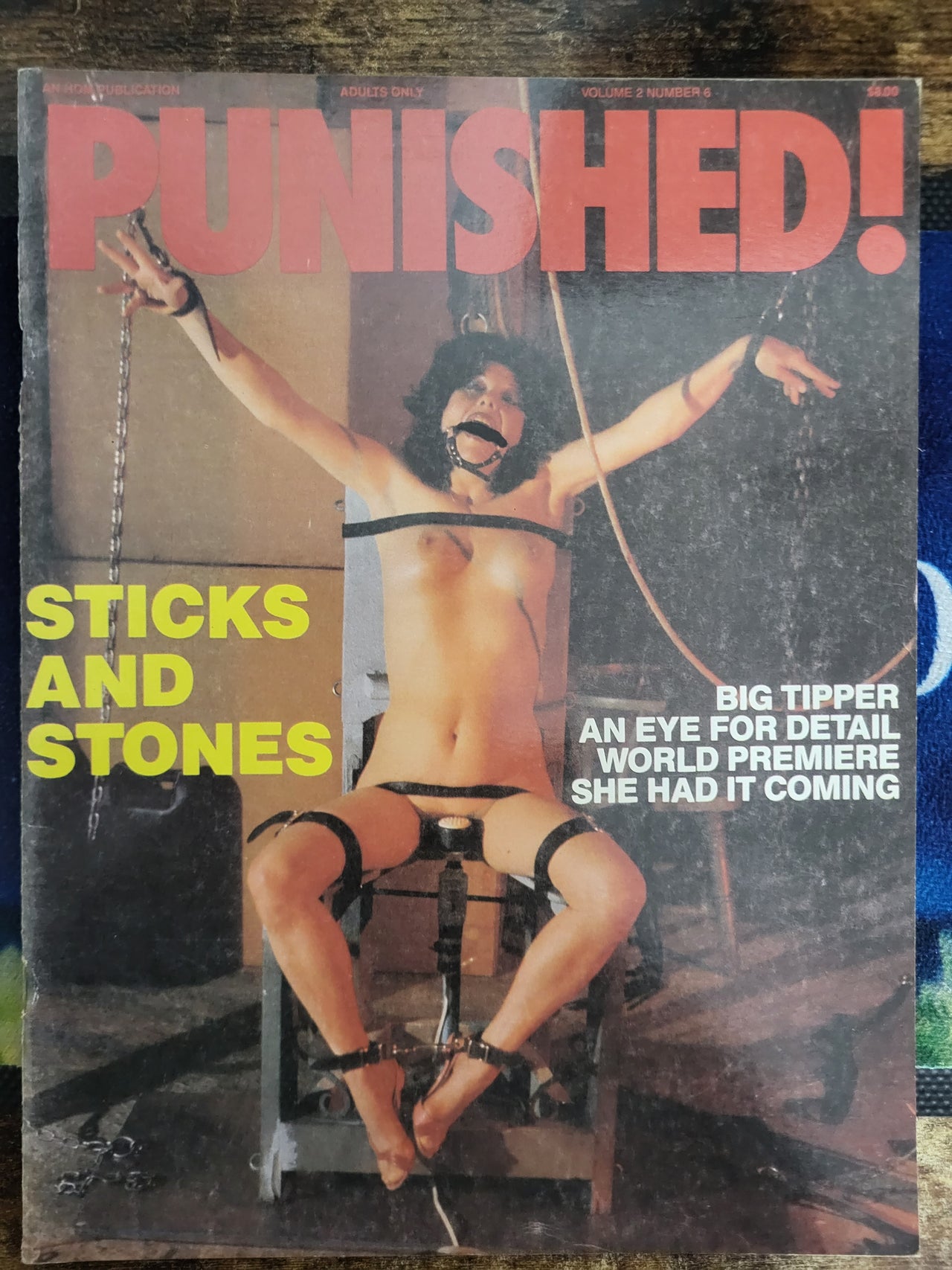 Punished Magazine Vol 2 No 6.. Vintage US Bondage Magazine