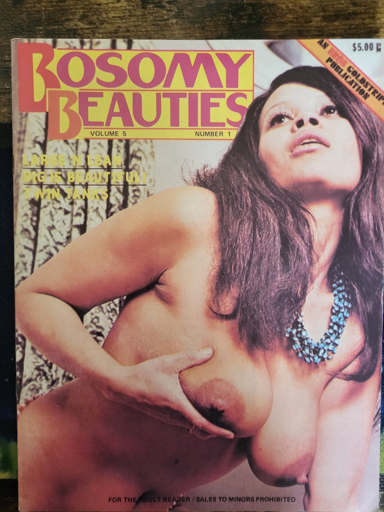 Bosomy Beauties Magazine Vol 5 No 1.. 1973 US Big Tits Magazine
