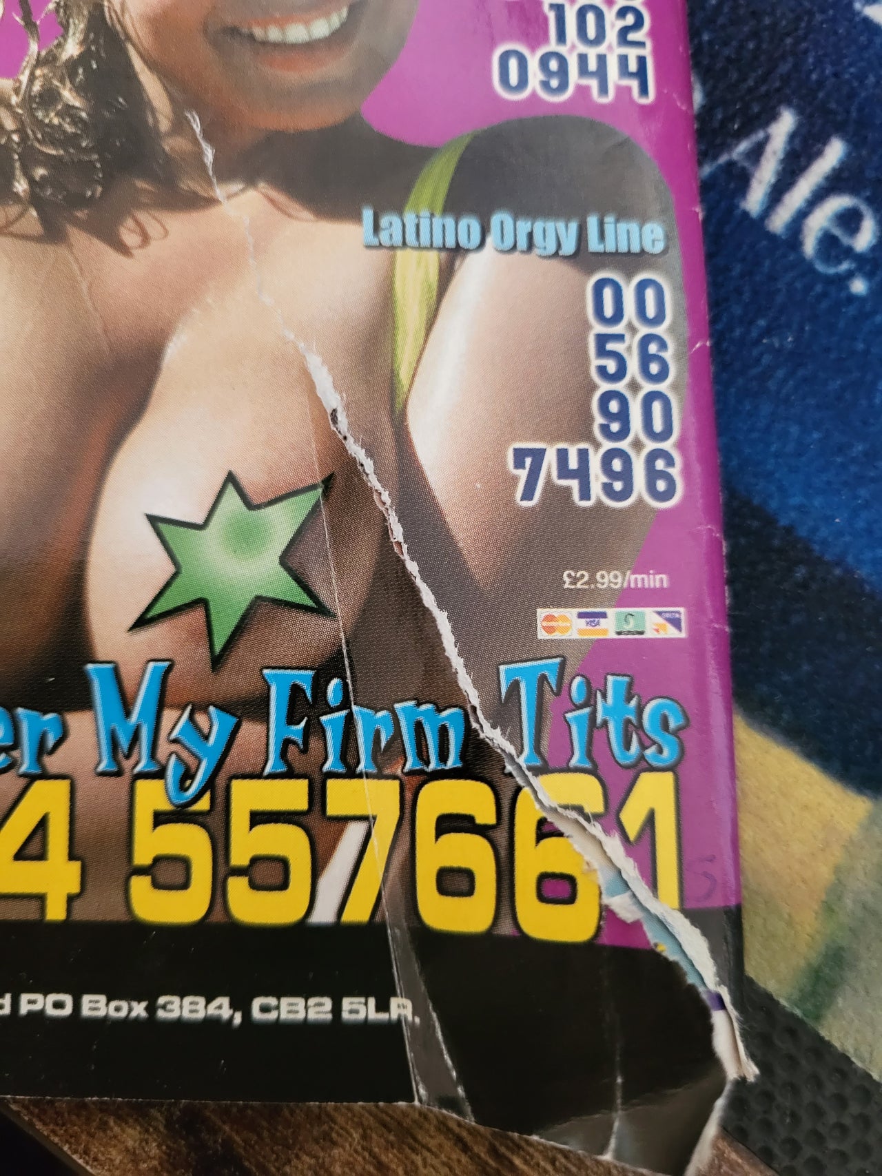 Escort Magazine Vol 21 No 14