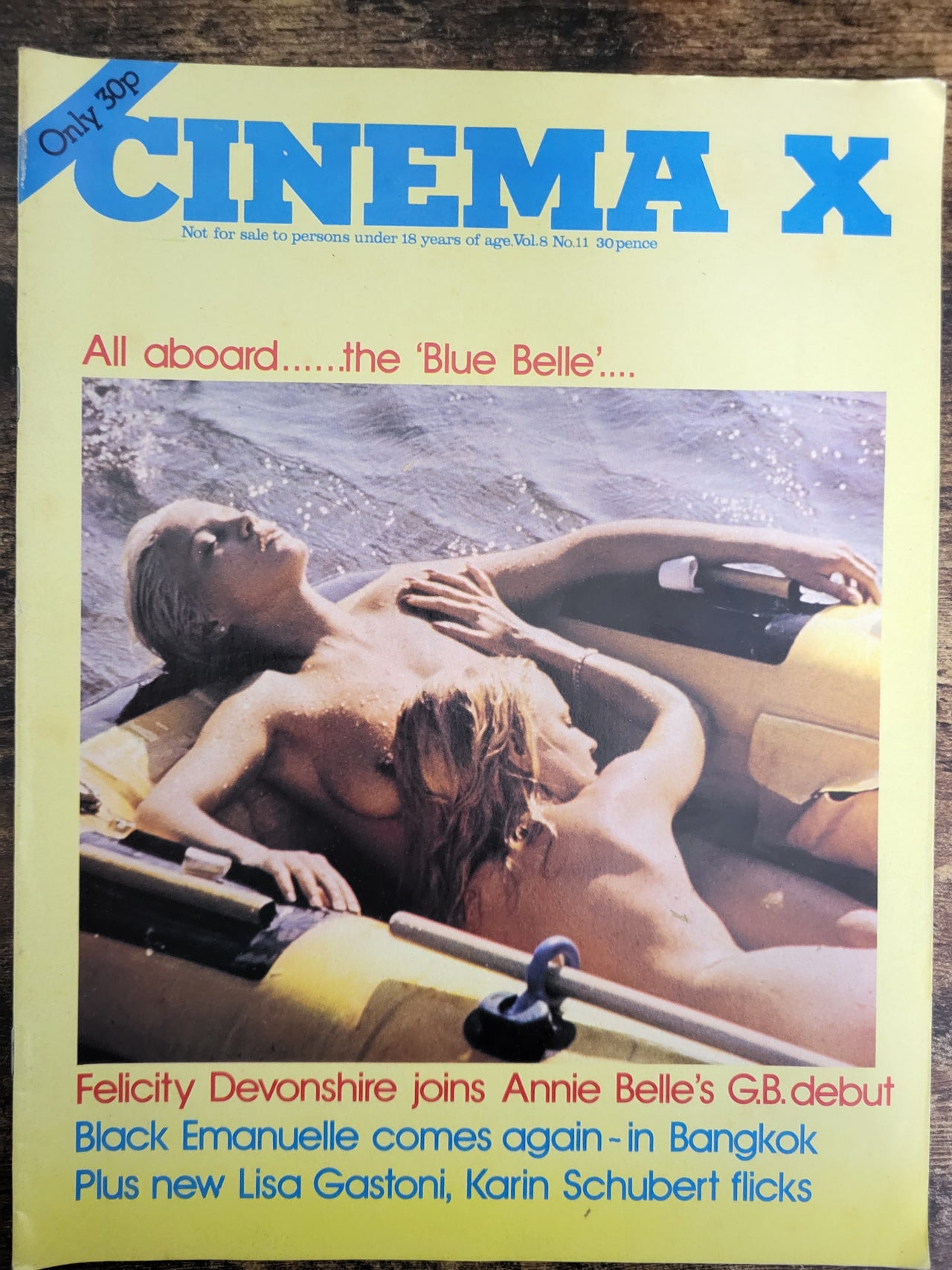 Cinema X Magazine Vol 8 No 11