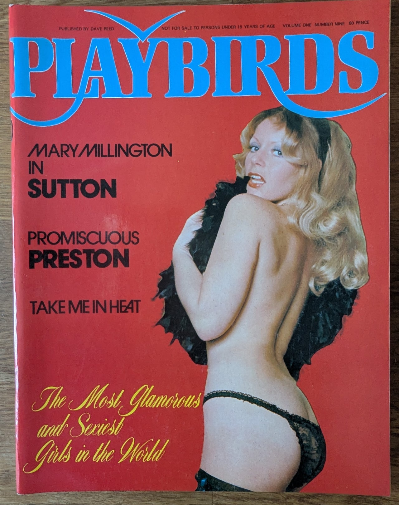 Playbirds Magazine Vol 1 No 9 ... Featuring Mary Millington