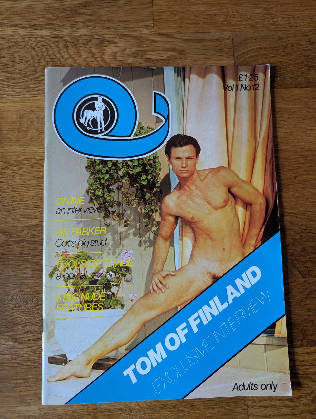 Q International Magazine Vol 1 No 12 1976 - UK Gay Magazine