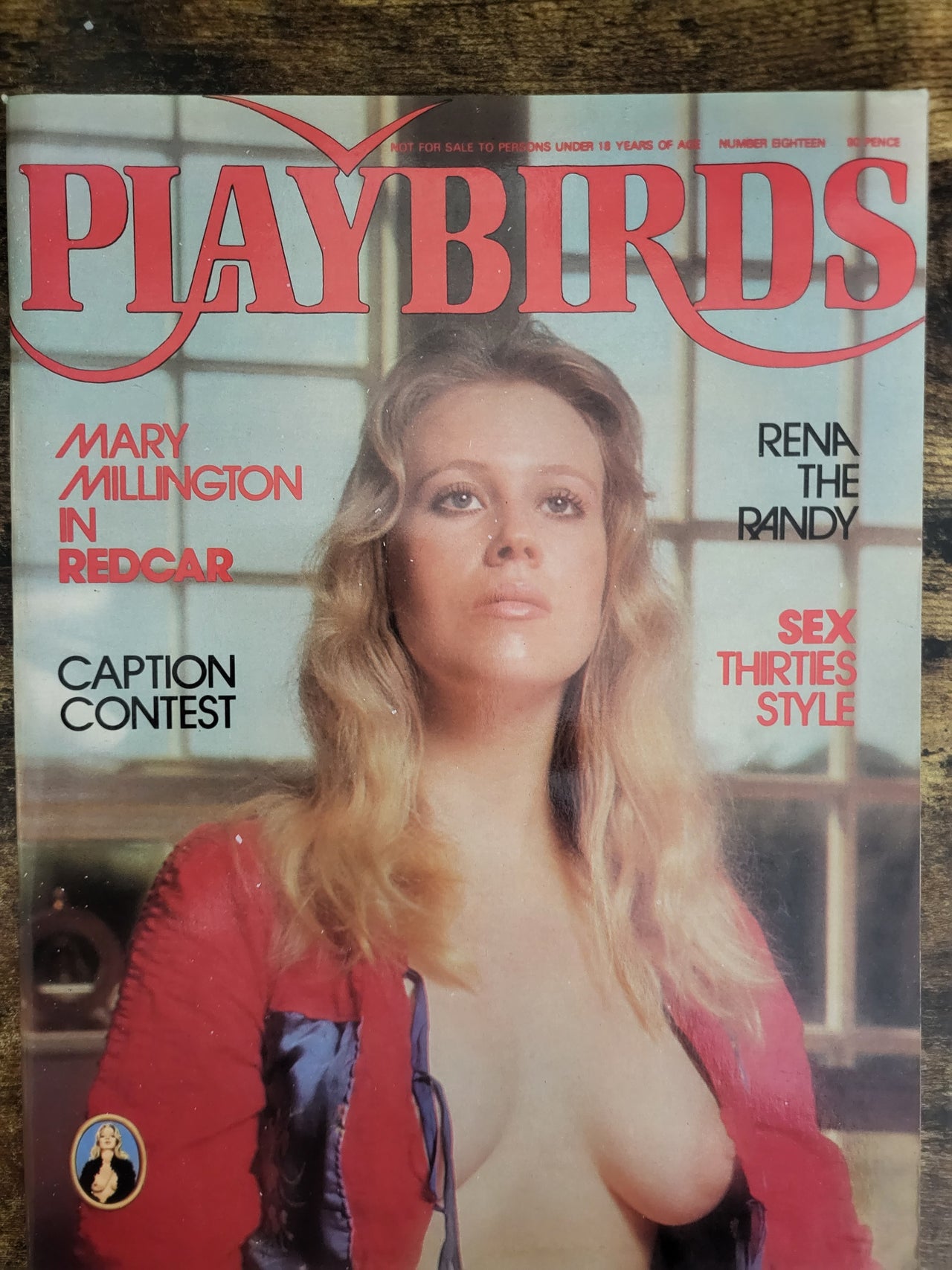Playbirds Magazine No 18