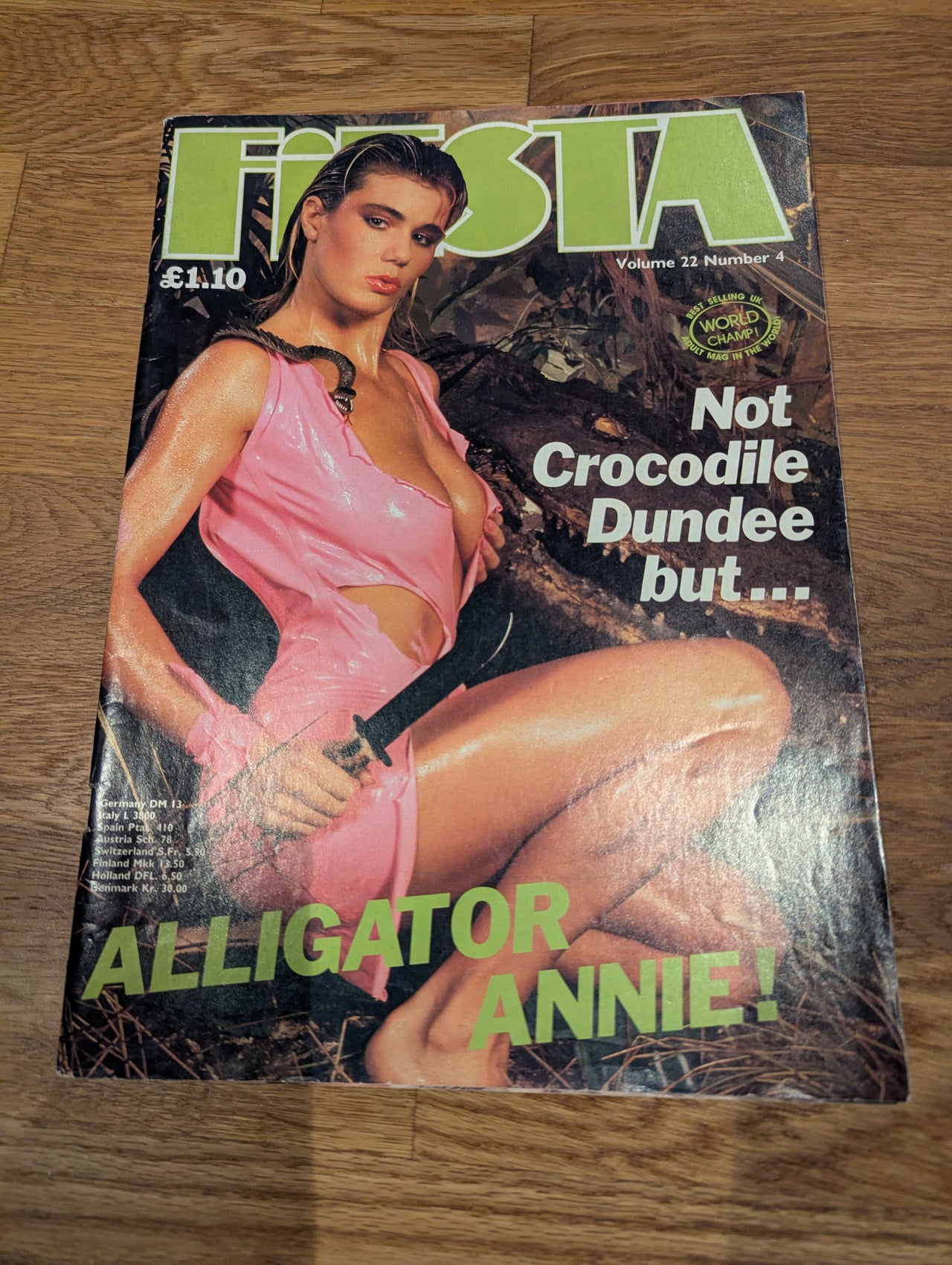 Fiesta Magazine Vol 22 No 4