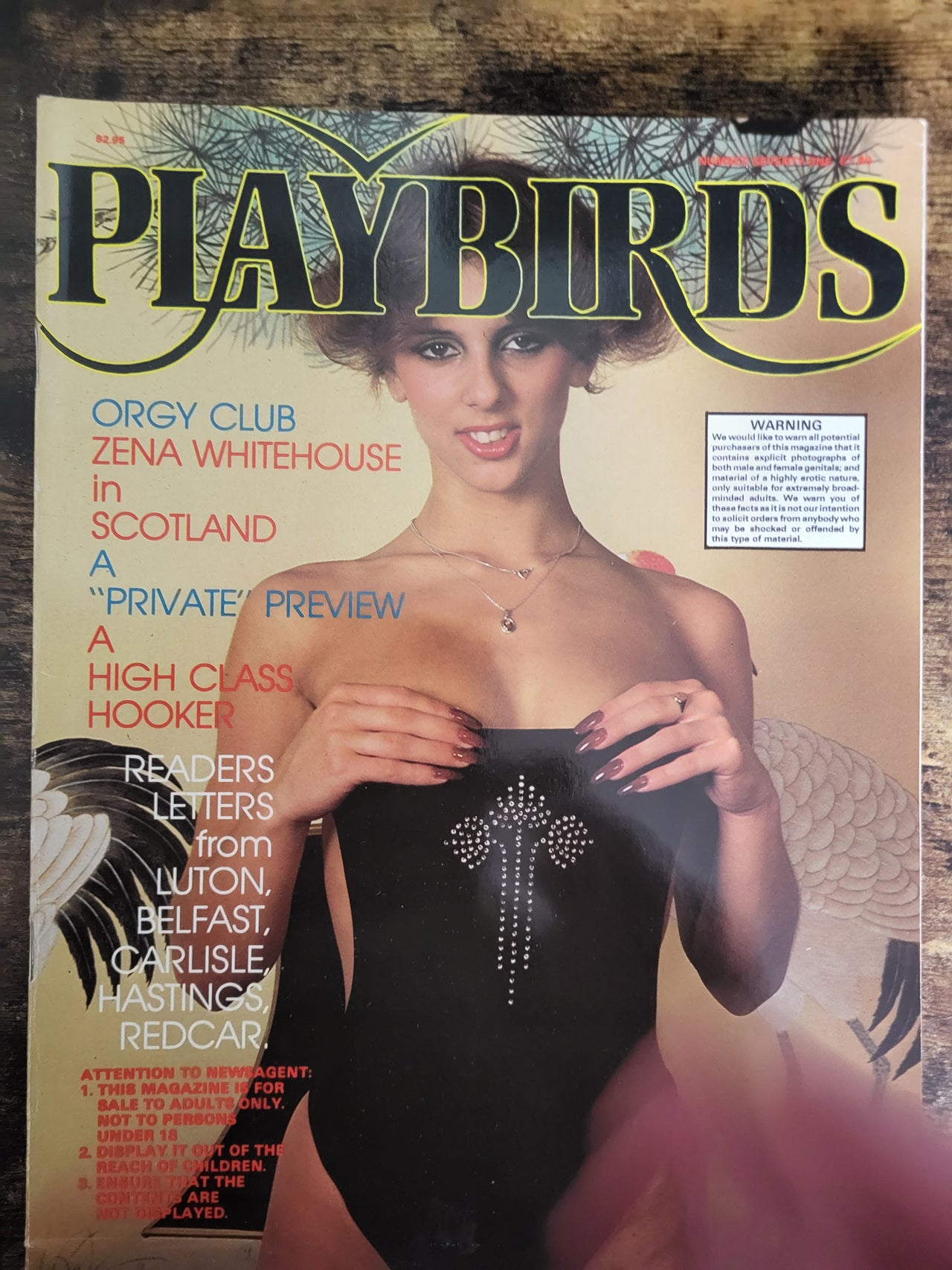 Playbirds Magazine No 71
