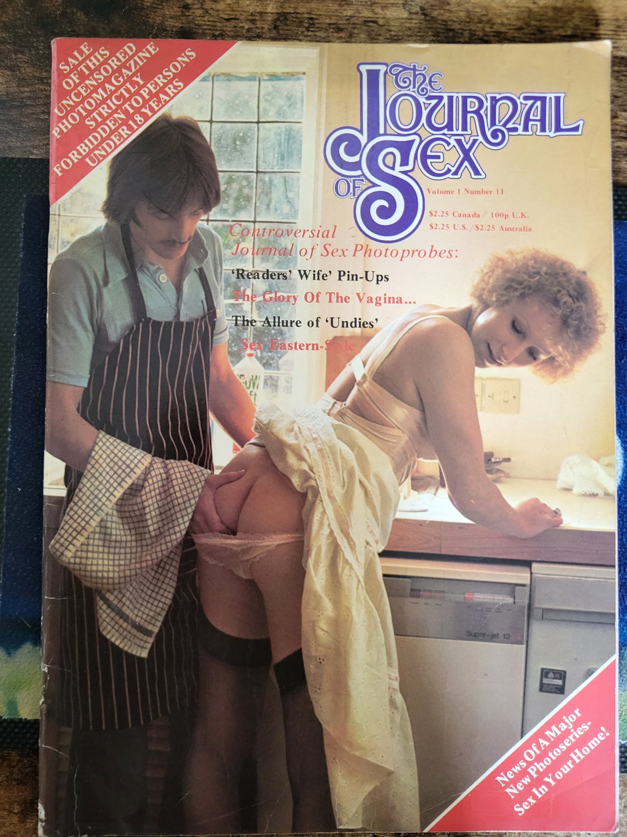 Journal Of Sex Magazine Vol 1 No 11